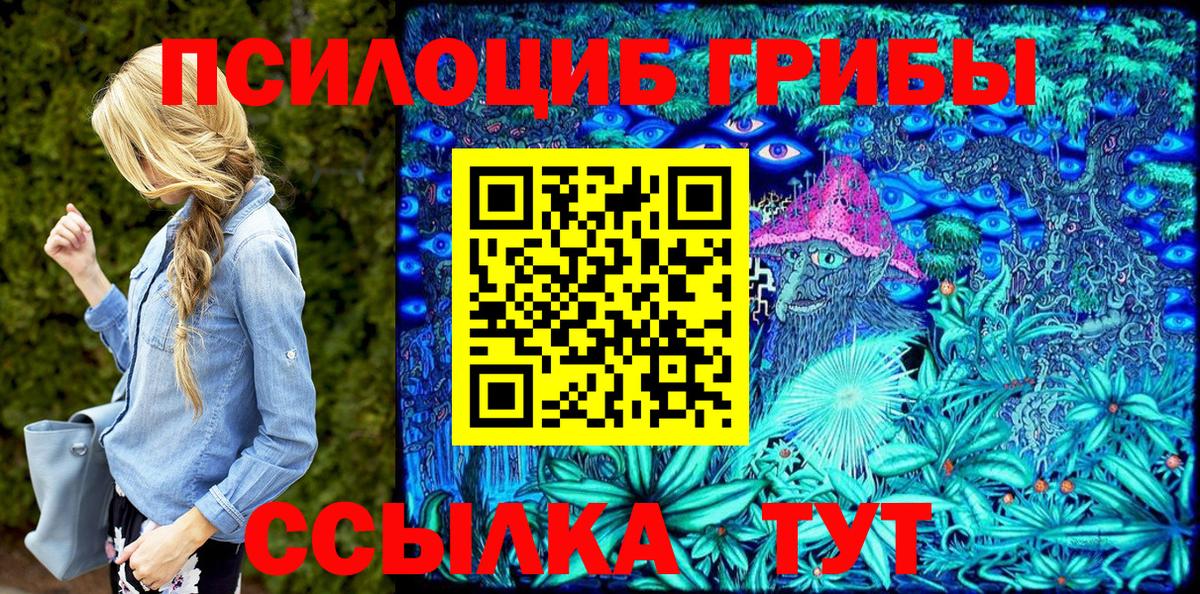 Галлюциногенные грибы мицелий  Вход с VPN  купить  цена  Трёхгорный 