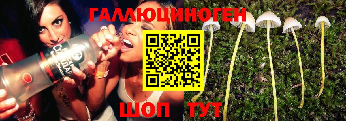 Галлюциногенные грибы Psilocybe Трёхгорный